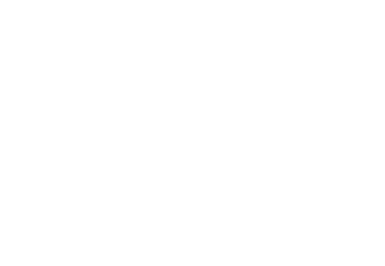 Cash-N-Carry | Web Design | TradeBark Savannah GA