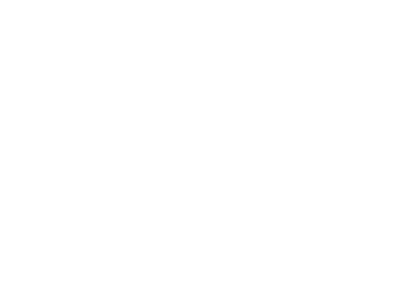 Lynes Realty | Web Design | TradeBark